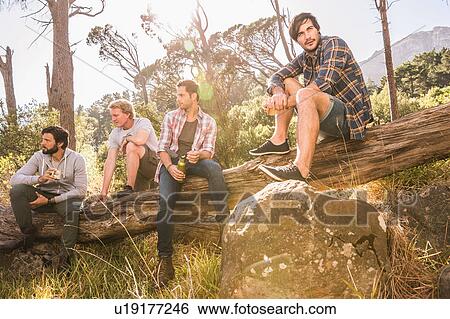 Stock Photograph - Male hiking friends sitting on fallen tree in forest, Deer Park, Cape Town, South Africa. Fotosearch