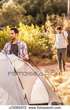 Stock Image - Man putting up dome tent in forest, Deer Park, Cape Town, South Africa. Fotosearch