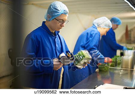 Man wearing hair net on production line using price gun View Large Photo Image Stock Image - Man wearing hair net on production line using price gun. Fotosearch