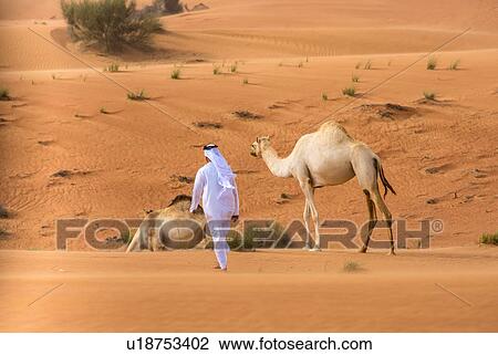 Middle eastern man wearing traditional clothes walking toward camels in desert, Dubai, United Arab Emirates View Large Photo Image Stock Image - Middle eastern man wearing traditional clothes walking toward camels in desert, Dubai, United Arab Emirates. Fotosearch