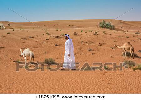 Middle eastern man wearing traditional clothes walking past camels in desert, Dubai, United Arab Emirates View Large Photo Image Stock Photography - Middle eastern man wearing traditional clothes walking past camels in desert, Dubai, United Arab Emirates. Fotosearch
