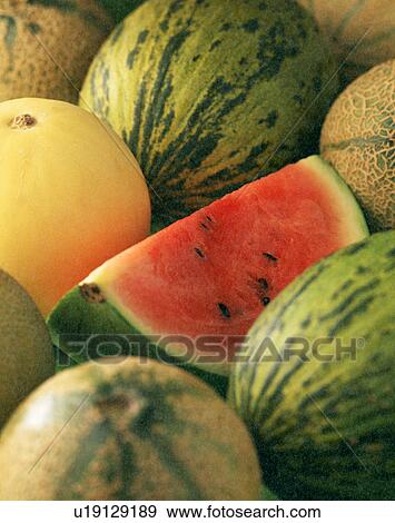 Stock Photo - Mixed melons with sliced watermelon, close-up. Fotosearch