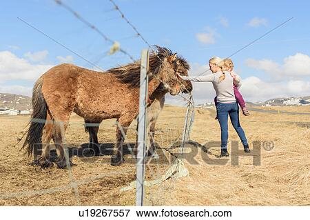 Mother and daughter stroking icelandic horses, Hveragerdi, Iceland View Large Photo Image Stock Photo - Mother and daughter stroking icelandic horses, Hveragerdi, Iceland. Fotosearch