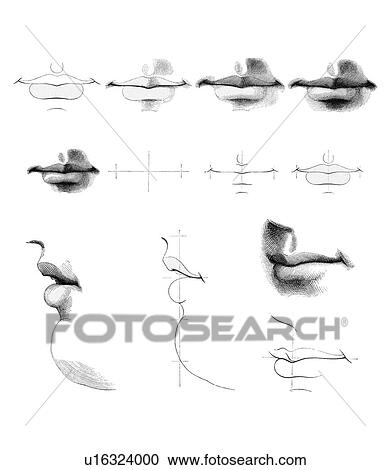 Stock Image - Mouths, artwork. Fotosearch