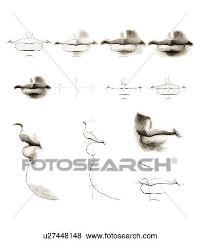 Stock Photo - Mouths, artwork. Fotosearch