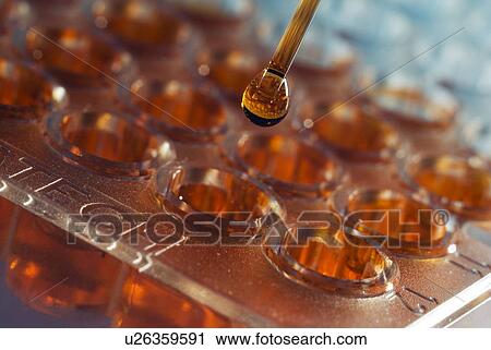 Multiwell sample tray View Large Photo Image Stock Image - Multiwell sample tray. Fotosearch