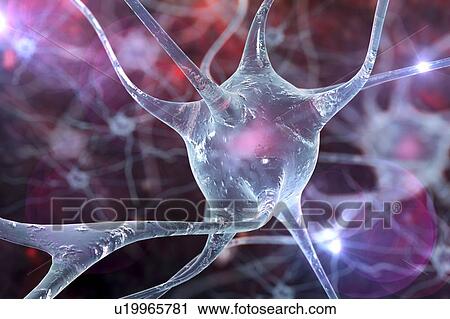 Stock Image - Nerve cells, illustration. Fotosearch
