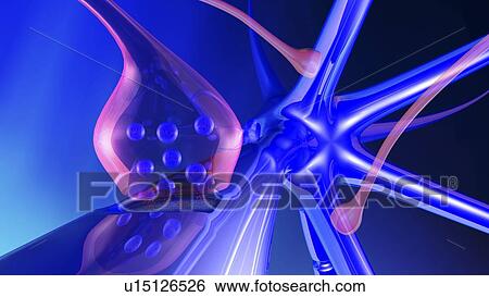 Nerve synapse View Large Photo Image Stock Photograph - Nerve synapse. Fotosearch