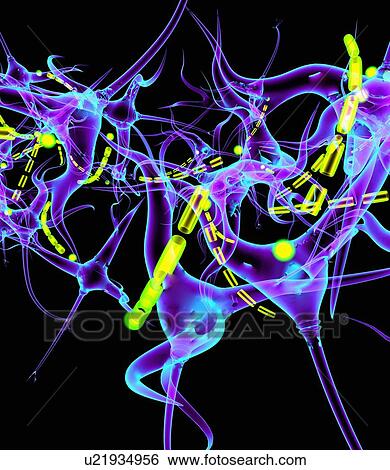 Stock Photograph - Neural network, artwork. Fotosearch