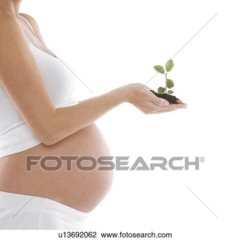 Stock Image - New life. Fotosearch