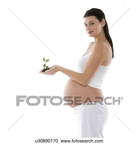 New life View Large Photo Image Stock Image - New life. Fotosearch