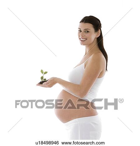 New life View Large Photo Image Stock Photograph - New life. Fotosearch