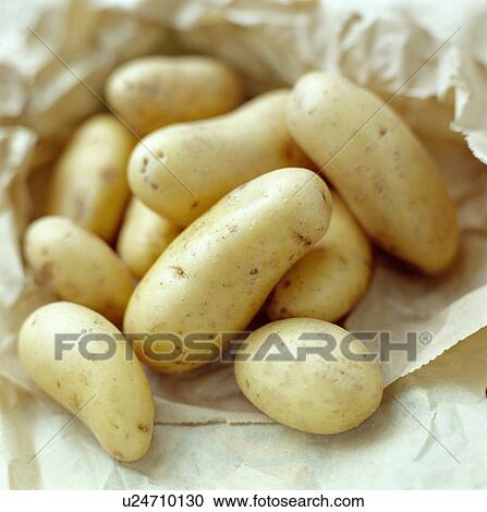 New potatoes View Large Photo Image Stock Image - New potatoes. Fotosearch