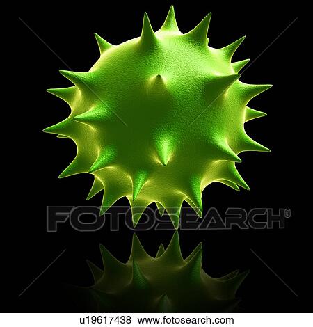 Stock Photo - Norovirus, illustration. Fotosearch