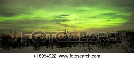 Northern lights, Abisko, Sweden View Large Photo Image Stock Image - Northern lights, Abisko, Sweden. Fotosearch