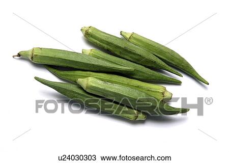 Okra (Abelmoschus esculentus) View Large Photo Image Stock Image - Okra (Abelmoschus esculentus). Fotosearch