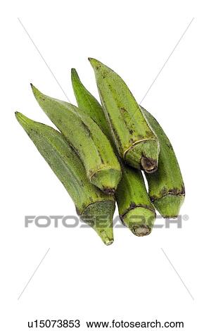 Stock Image - Okra. Fotosearch