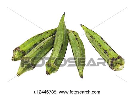 Stock Photography - Okra. Fotosearch
