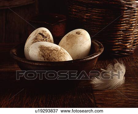 Organic goose eggs in vintage wooden bowl View Large Photo Image Stock Photo - Organic goose eggs in vintage wooden bowl. Fotosearch