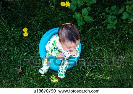 Overhead view of baby boy sitting in garden on baby support seat View Large Photo Image Stock Image - Overhead view of baby boy sitting in garden on baby support seat. Fotosearch