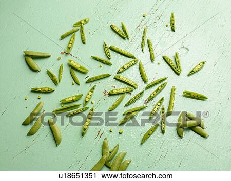 Overhead view of peas in pea pods on green background View Large Photo Image Stock Image - Overhead view of peas in pea pods on green background. Fotosearch