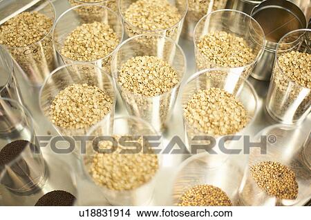 Picture - Overhead view of seed containers in underground tunnel nursery, London, UK. Fotosearch