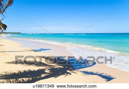 Stock Photo - Palm tree shadow on beach, Dominican Republic, The Caribbean. Fotosearch