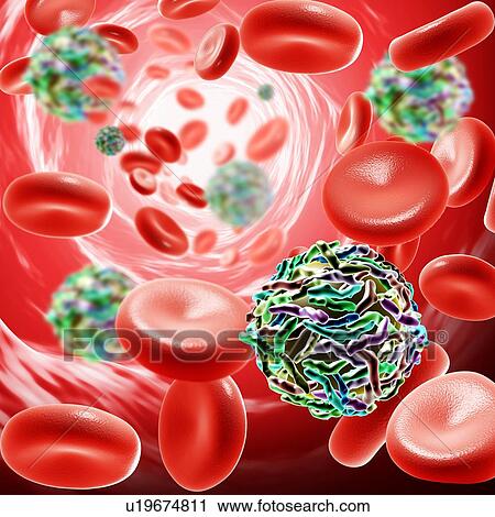 Papilloma virus, illustration View Large Photo Image Stock Image - Papilloma virus, illustration. Fotosearch