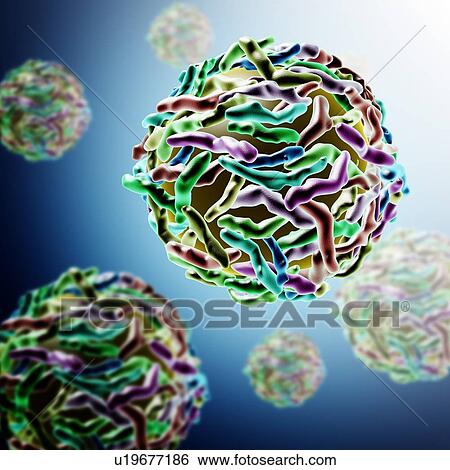 Stock Photograph - Papilloma virus, illustration. Fotosearch
