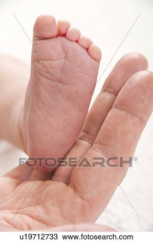 Stock Image - Parent holding newborn baby's foot. Fotosearch