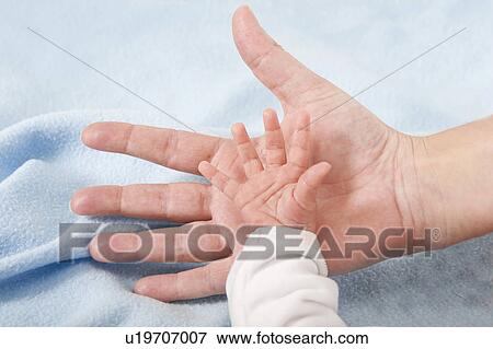 Stock Photo - Parent holding newborn baby's hand. Fotosearch