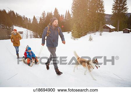 Parents with husky pulling sons on toboggan in snow covered landscape, Elmau, Bavaria, Germany View Large Photo Image Stock Image - Parents with husky pulling sons on toboggan in snow covered landscape, Elmau, Bavaria, Germany. Fotosearch
