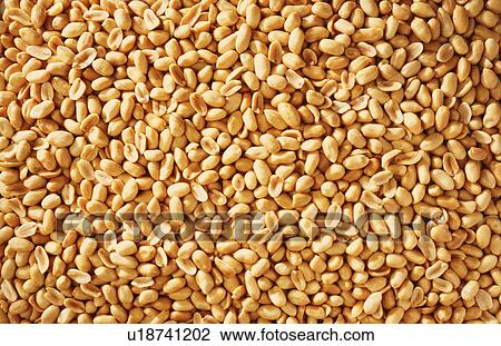 Peanuts, full frame, close-up View Large Photo Image Stock Image - Peanuts, full frame, close-up. Fotosearch