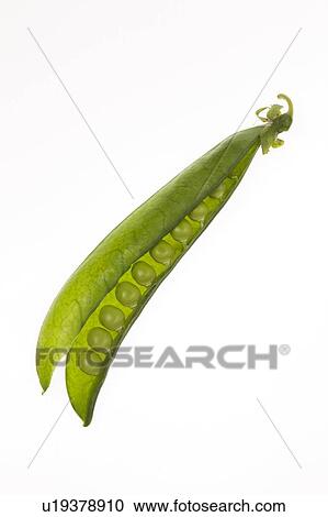 Peas in a pod View Large Photo Image Stock Image - Peas in a pod. Fotosearch