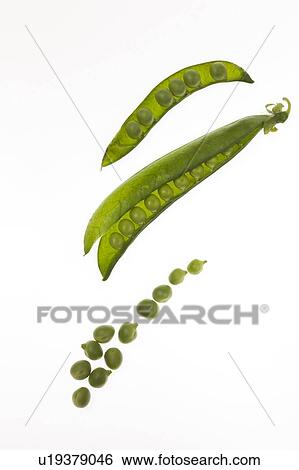 Stock Photograph - Peas in pods. Fotosearch