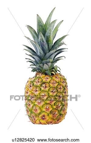 Stock Image - Pineapple. Fotosearch