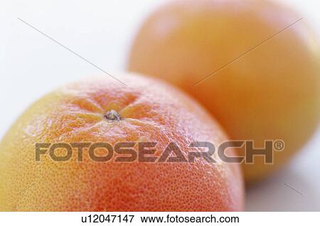 Pink grapefruits View Large Photo Image Stock Photo - Pink grapefruits. Fotosearch