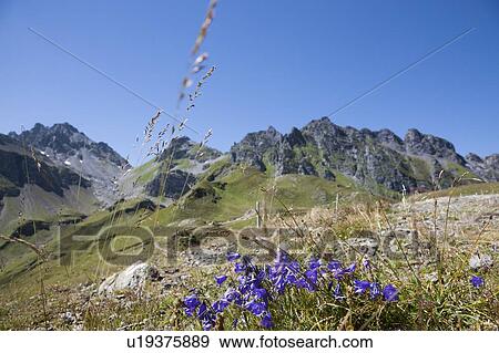 Pizol mountain, Switzerland View Large Photo Image Stock Photo - Pizol mountain, Switzerland. Fotosearch