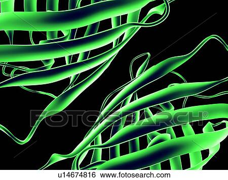 Protein structure, artwork View Large Photo Image Stock Photograph - Protein structure, artwork. Fotosearch