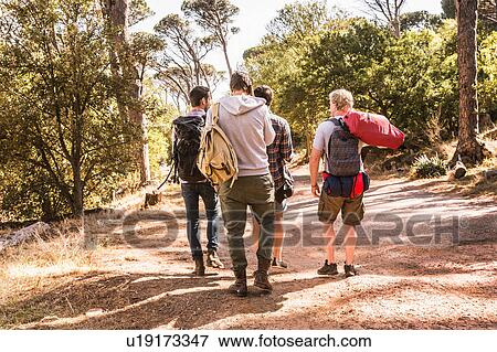 Rear view of four men hiking in forest, Deer Park, Cape Town, South Africa View Large Photo Image Stock Photo - Rear view of four men hiking in forest, Deer Park, Cape Town, South Africa. Fotosearch