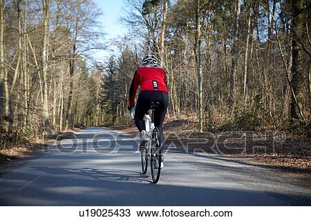 Stock Image - Rear view of woman cycling on tree lined road. Fotosearch