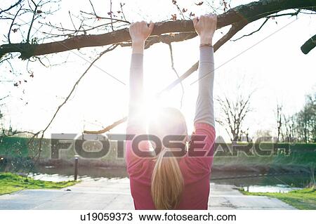 Rear view of woman doing chin ups on tree branch View Large Photo Image Stock Image - Rear view of woman doing chin ups on tree branch. Fotosearch