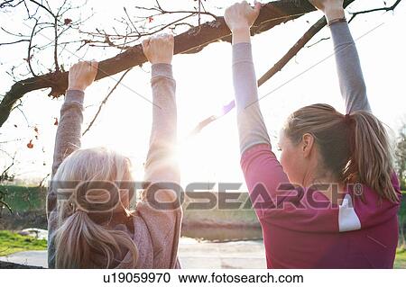 Rear view of women doing chin ups on tree branch View Large Photo Image Stock Image - Rear view of women doing chin ups on tree branch. Fotosearch