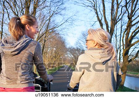 Rear view of women face to face cycling on tree lined road View Large Photo Image Stock Photograph - Rear view of women face to face cycling on tree lined road. Fotosearch