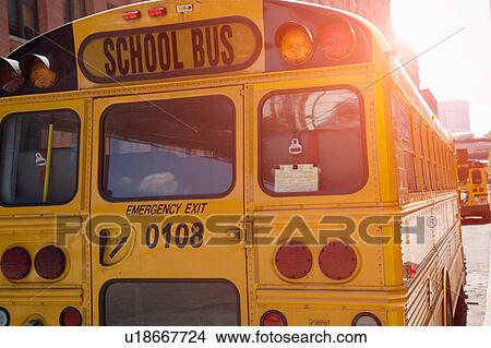 Rear view of yellow school buses, New York, USA View Large Photo Image Picture - Rear view of yellow school buses, New York, USA. Fotosearch
