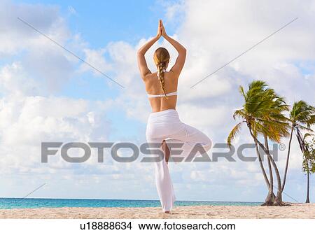 Rear view of young woman practicing yoga tree pose on beach, Dominican Republic, The Caribbean View Large Photo Image Picture - Rear view of young woman practicing yoga tree pose on beach, Dominican Republic, The Caribbean. Fotosearch