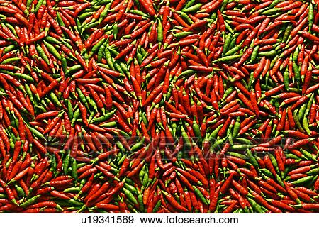 Stock Photo - Red and green chilli peppers. Fotosearch