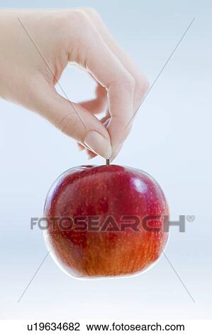 Red apple View Large Photo Image Stock Image - Red apple. Fotosearch