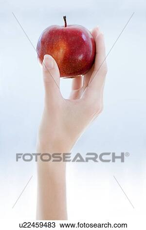 Stock Image - Red apple. Fotosearch
