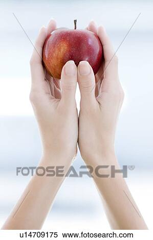Red apple View Large Photo Image Stock Photography - Red apple. Fotosearch